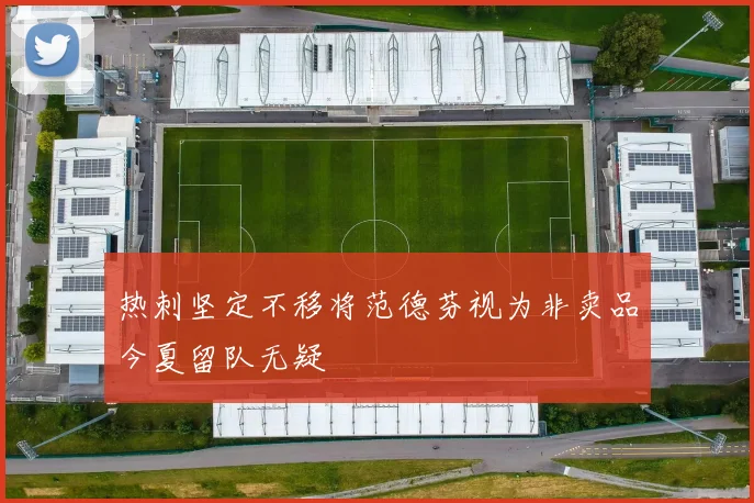 热刺坚定不移将范德芬视为非卖品今夏留队无疑