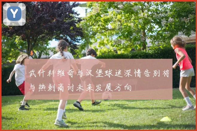 武什科维奇与汉堡球迷深情告别将与热刺商讨未来发展方向