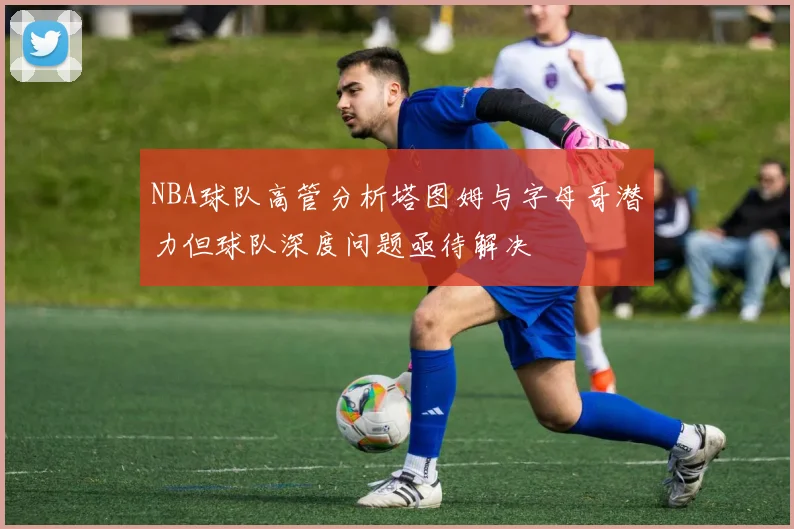 NBA球队高管分析塔图姆与字母哥潜力但球队深度问题亟待解决
